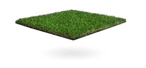 Namgrass Vision