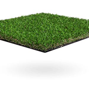 Namgrass Vision