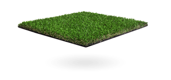 Namgrass Vision