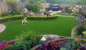 Dog Friendly Artificial Grass